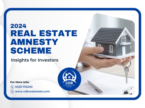 2024 Real Estate Amnesty Scheme: Insights for Investors